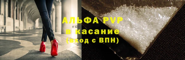 шишки Баксан