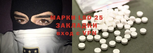 шишки Баксан
