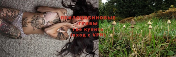 кокс Арсеньев